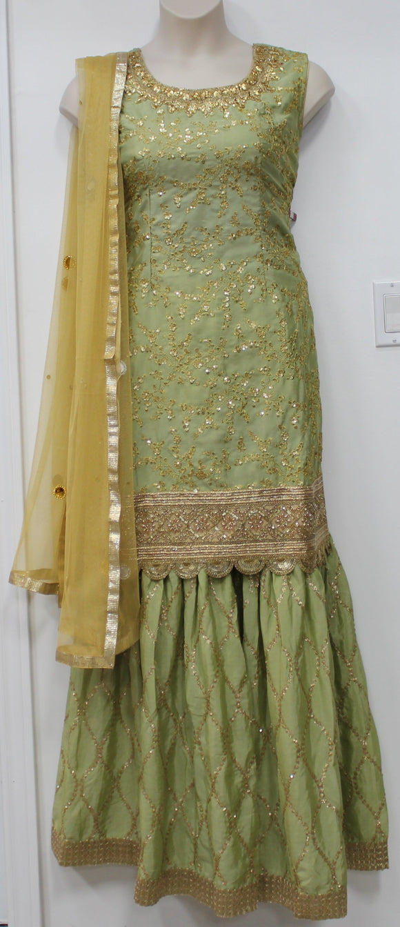 Beautiful light Mehndhi Plazo Suit