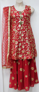 Beautiful Majanta Sharara Suit