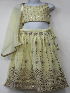 Beautiful Butter Shade Lehenga