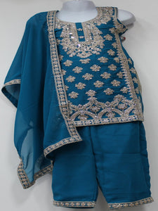 Beautiful Blue Plazo Suit