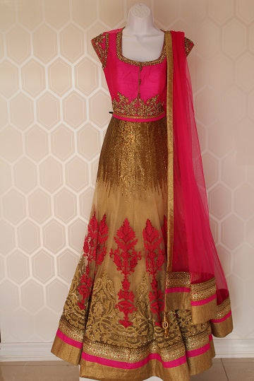 Pink Indian Dress
